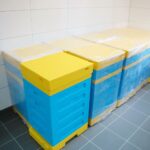 29.12.2020. Białogon. Otwarcie Zakładu Aktywności Zawodnej "Manufaktura Pietraszki" / Wiktor Taszłow / Radio Kielce