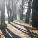 01.12.2020 Podzamcze. Otwarcie po rekonstrukcji 300-letniej alei lipowej. Na zdjęciu: marszałek Andrzej Bętkowski / Wiktor Taszłow / Radio Kielce