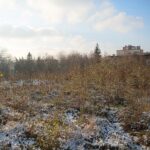 01.12.2020 Kielce. Plac pod budowę nowej siedziby NFZ przy ul. Langiewicza / Wiktor Taszłow / Radio Kielce