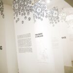 04.12.2020. Kielce. Wystawa „Przestrzeń w czasie zarazy” / Wiktor Taszłow / Radio Kielce