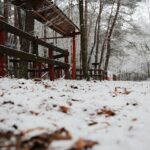 10.12.2020 Kielce. Zima / Wiktor Taszłow / Radio Kielce