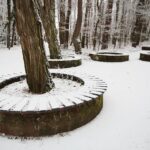 10.12.2020 Kielce. Zima / Wiktor Taszłow / Radio Kielce