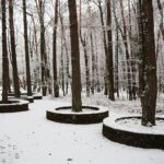 10.12.2020 Kielce. Zima / Wiktor Taszłow / Radio Kielce