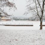 10.12.2020 Kielce. Zima / Wiktor Taszłow / Radio Kielce