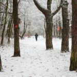 10.12.2020 Kielce. Zima / Wiktor Taszłow / Radio Kielce