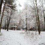 10.12.2020 Kielce. Zima / Wiktor Taszłow / Radio Kielce