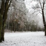 10.12.2020 Kielce. Zima / Wiktor Taszłow / Radio Kielce