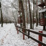 10.12.2020 Kielce. Zima / Wiktor Taszłow / Radio Kielce