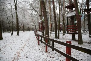 10.12.2020 Kielce. Zima / Wiktor Taszłow / Radio Kielce