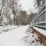 10.12.2020 Kielce. Zima / Wiktor Taszłow / Radio Kielce