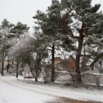 10.12.2020 Kielce. Zima / Wiktor Taszłow / Radio Kielce