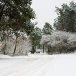 10.12.2020 Kielce. Zima / Wiktor Taszłow / Radio Kielce