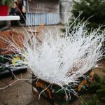 12.12.2020. Kielce. Dekoracje świąteczne na targowisku miejskim / Wiktor Taszłow / Radio Kielce