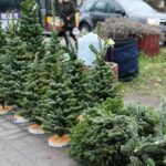 12.12.2020. Kielce. Dekoracje świąteczne na targowisku miejskim / Wiktor Taszłow / Radio Kielce