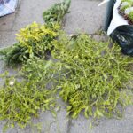 12.12.2020. Kielce. Dekoracje świąteczne na targowisku miejskim / Wiktor Taszłow / Radio Kielce