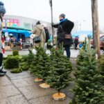 18.12.2020. Kielce. Choinki i karpie na kieleckich targowiskach / Wiktor Taszłow / Radio Kielce
