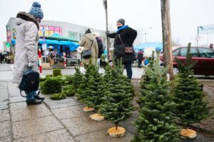 18.12.2020. Kielce. Choinki i karpie na kieleckich targowiskach / Wiktor Taszłow / Radio Kielce