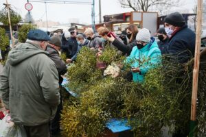 18.12.2020. Kielce. Choinki i karpie na kieleckich targowiskach / Wiktor Taszłow / Radio Kielce