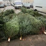 18.12.2020. Kielce. Choinki i karpie na kieleckich targowiskach / Wiktor Taszłow / Radio Kielce