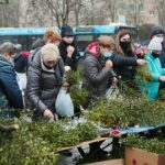 18.12.2020. Kielce. Choinki i karpie na kieleckich targowiskach / Wiktor Taszłow / Radio Kielce