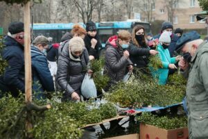 18.12.2020. Kielce. Choinki i karpie na kieleckich targowiskach / Wiktor Taszłow / Radio Kielce