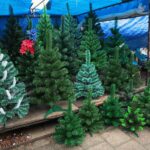 18.12.2020. Kielce. Choinki i karpie na kieleckich targowiskach / Wiktor Taszłow / Radio Kielce