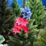 18.12.2020. Kielce. Choinki i karpie na kieleckich targowiskach / Wiktor Taszłow / Radio Kielce