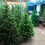 18.12.2020. Kielce. Choinki i karpie na kieleckich targowiskach / Wiktor Taszłow / Radio Kielce