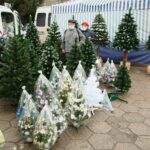 18.12.2020. Kielce. Choinki i karpie na kieleckich targowiskach / Wiktor Taszłow / Radio Kielce