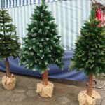 18.12.2020. Kielce. Choinki i karpie na kieleckich targowiskach / Wiktor Taszłow / Radio Kielce