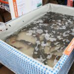 18.12.2020. Kielce. Sprzedaż karpi na targowisku miejskim / Wiktor Taszłow / Radio Kielce