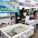 18.12.2020. Kielce. Sprzedaż karpi na targowisku miejskim / Wiktor Taszłow / Radio Kielce
