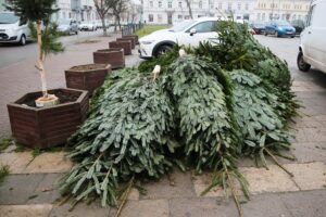 18.12.2020 Kielce. Sprzedaż choinek na placu Wolności / Wiktor Taszłow / Radio Kielce