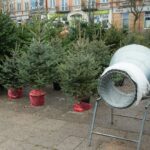 18.12.2020 Kielce. Sprzedaż choinek na placu Wolności / Wiktor Taszłow / Radio Kielce