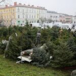 18.12.2020. Kielce. Choinki i karpie na kieleckich targowiskach / Wiktor Taszłow / Radio Kielce
