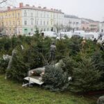 18.12.2020 Kielce. Sprzedaż choinek na placu Wolności / Wiktor Taszłow / Radio Kielce