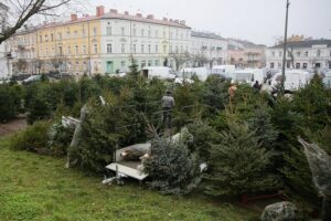 18.12.2020 Kielce. Sprzedaż choinek na placu Wolności / Wiktor Taszłow / Radio Kielce