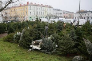 18.12.2020. Kielce. Choinki i karpie na kieleckich targowiskach / Wiktor Taszłow / Radio Kielce