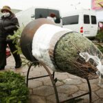 18.12.2020. Kielce. Choinki i karpie na kieleckich targowiskach / Wiktor Taszłow / Radio Kielce