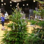 22.12.2020. Kielce. Dekorowanie sceny w Szkole Muzycznej w związku z koncertem sylwestrowym / Wiktor Taszłow / Radio Kielce