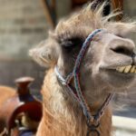 Ekwador / Grażyna Woźniczka