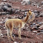 Ekwador / Grażyna Woźniczka