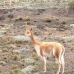 Ekwador / Grażyna Woźniczka