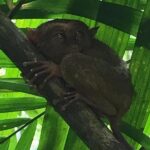 Ekwador / Grażyna Woźniczka