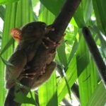 Ekwador / Grażyna Woźniczka