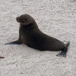 Ekwador / Grażyna Woźniczka