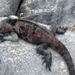 Ekwador / Grażyna Woźniczka