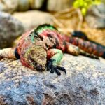 Ekwador / Grażyna Woźniczka