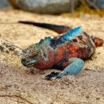 Ekwador / Grażyna Woźniczka