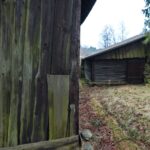 Stara Kuźnica / Magdalena Galas-Klusek / Radio Kielce